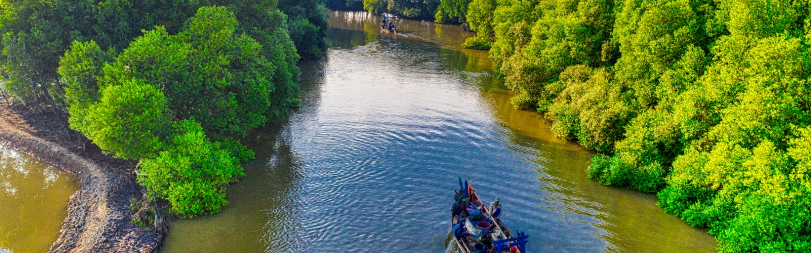 Mangroves & Marine Wonders: Eco-Tours in Kuwait’s Coastal Regions