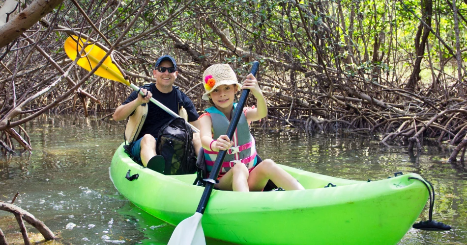 Manglares y Maravillas Marinas. Eco-tours en las Regiones Costeras de Kuwait.