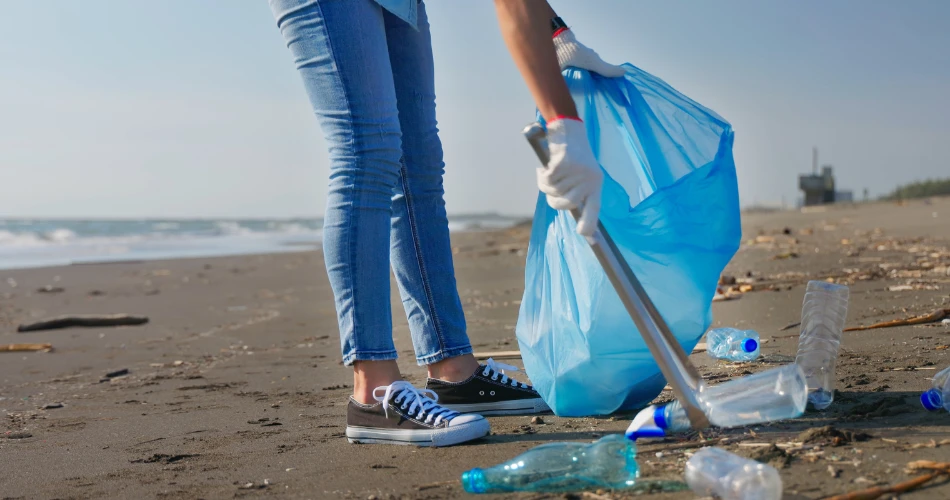 Manglares y Maravillas Marinas. Eco-tours en las Regiones Costeras de Kuwait.
